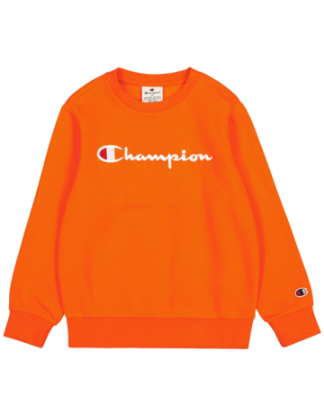 Sweatshirt Champion epipen Legacy Icons Nino