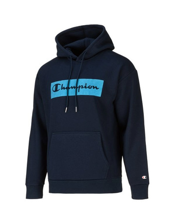 Champion discount flock hoodie