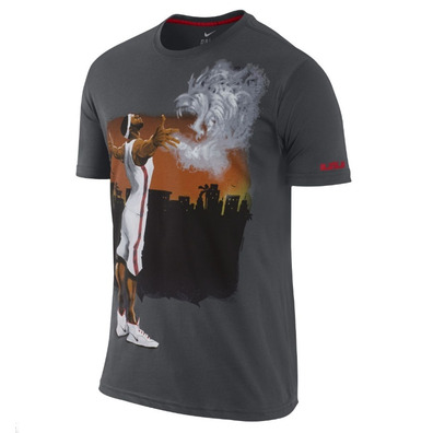 Camiseta Lebron Painting (060/antracita)