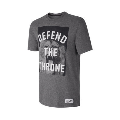 Camiseta Lebron "Defend the Throne" (071/gris)