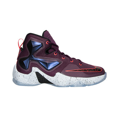 Lebron 13 "Written In The Stars" Kids (500/mulberry/black/purple)