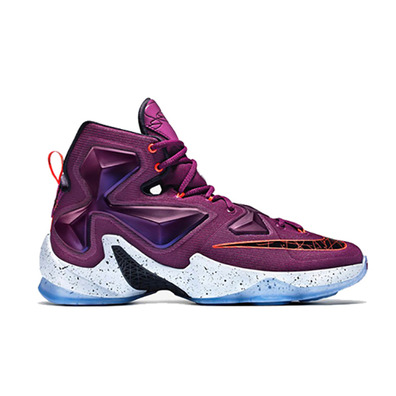 Lebron 13 "Written In The Stars" Kids (500/mulberry/black/purple)