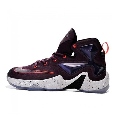 Lebron 13 "Written In The Stars" Kids (500/mulberry/black/purple)