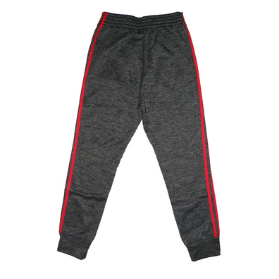 Adidas NBA Pantalón Winter Hoops Chicago Bulls (gris/rojo)