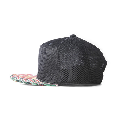 Adidas Originals Rita Ora Dragon SnapBack (negro/multicolor)