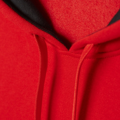 Adidas Graphic Hoodie Bulls (nba-cbu)