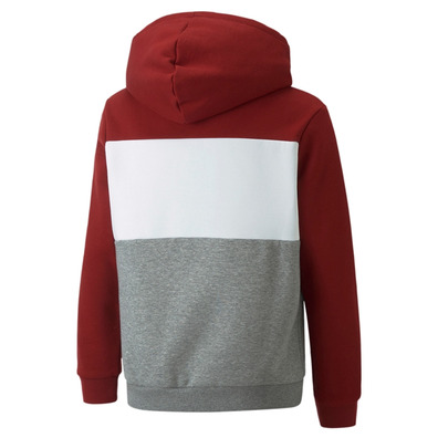 Puma Junior ESS+ Colorblock Hoodie