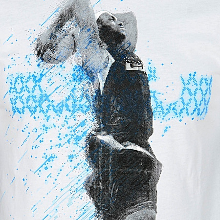 Camiseta Lebron Data Sport (100/blanco)