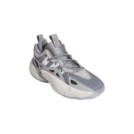 Adidas Trae Young Unlimited 2 Jr. "Grey Three"