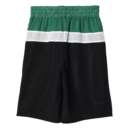 Adidas NBA Short Niño Boston Celtics Winter Hoops Rev (Black/Green/white)