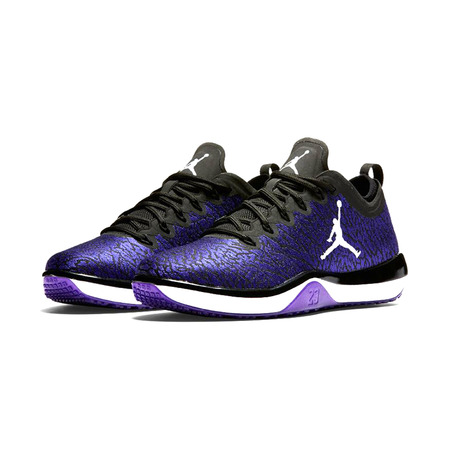 Air Jordan Trainer 1 Low "Concord Jimmy Butler"