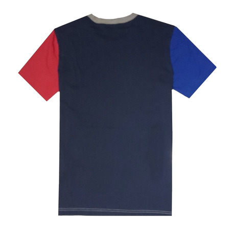 Champion Camiseta Authentic Rochester Print (multicolor)