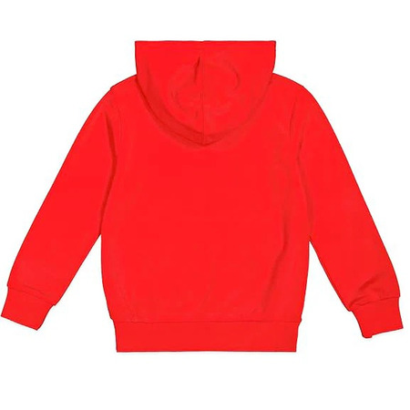 Champion Kids Felpa Legacy Graphic "Red"