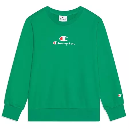 Champion Sport Lifestyle Logo Sweatshirt "Green"