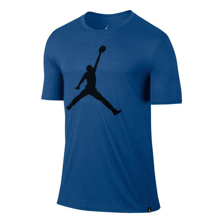 Jordan Camiseta Iconic Jumpman Logo (477)