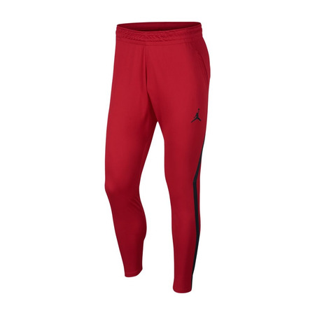 Jordan Dry 23 Alpha Training Pants