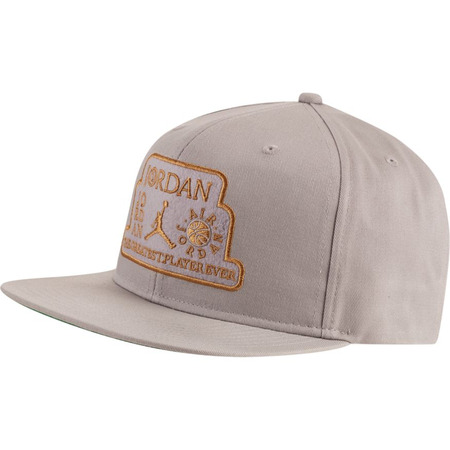 Jordan Pro Trophy Hat Cap