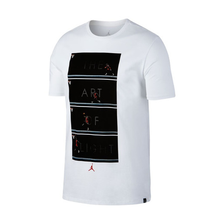 Jordan "The Art of Flight" T-Shirt (100)