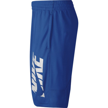 Nike Boys’ Training Shorts