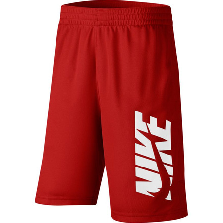 Nike Boys’ Training Shorts