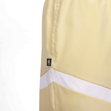 Nike Icon Woven Dri Fit Short 15 cm "Team Gold"