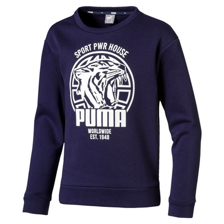 Puma Junior Alpha Graphic Crew FL