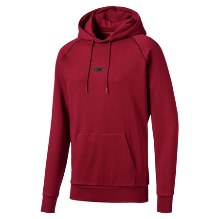 Puma Classics Logo Nº 2 Hoody