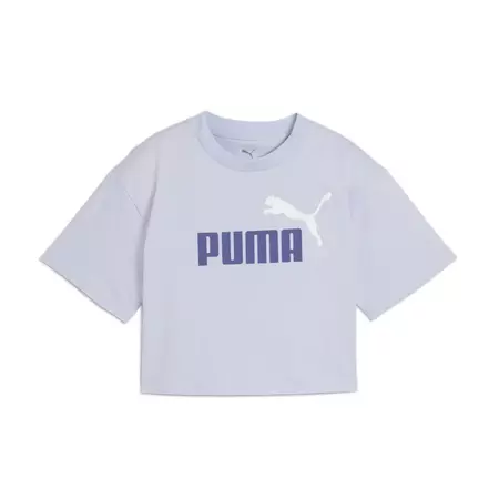 Puma ESS 2 COLOR No. 1 Logo Short Length Tee G"Cool Weather"