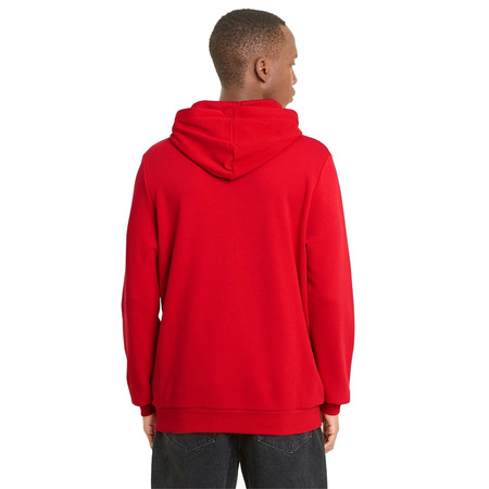 Puma ESS Big Logo Hoodie TR