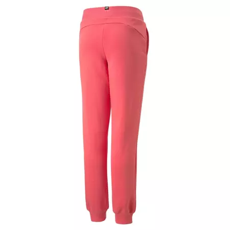 Puma Girls ESS+ Sweatpants FL cl