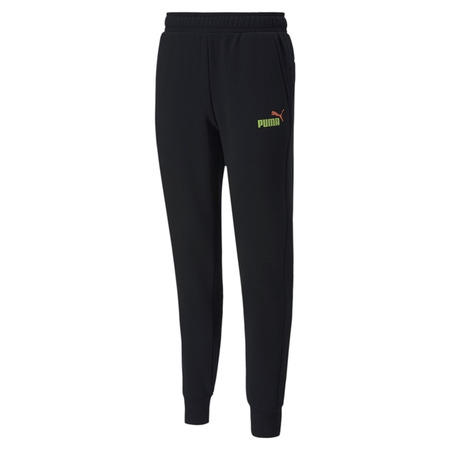 Puma Essentials 2 Col Logo Pants FL