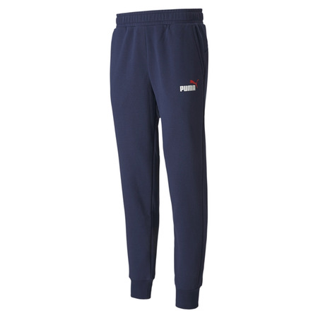 Puma Essentials 2 Col Logo Pants FL