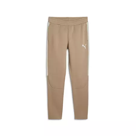 Puma EVOSTRIPE Pants DK "Oak Branch"