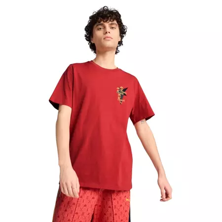 Puma ROAD TO UNITY Graphic Tee "Red Fire"