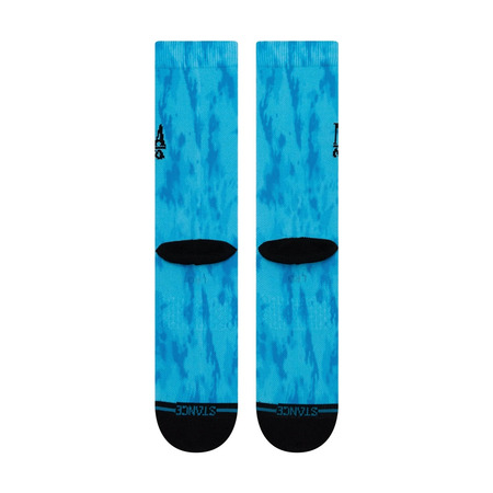 Stance Nirvana Nevermind Socks