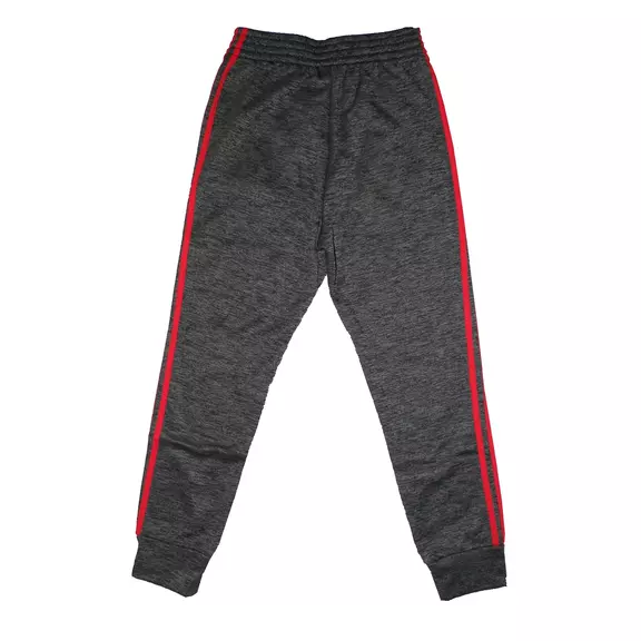 Adidas NBA Pantalón Winter Hoops Chicago Bulls (gris/rojo)