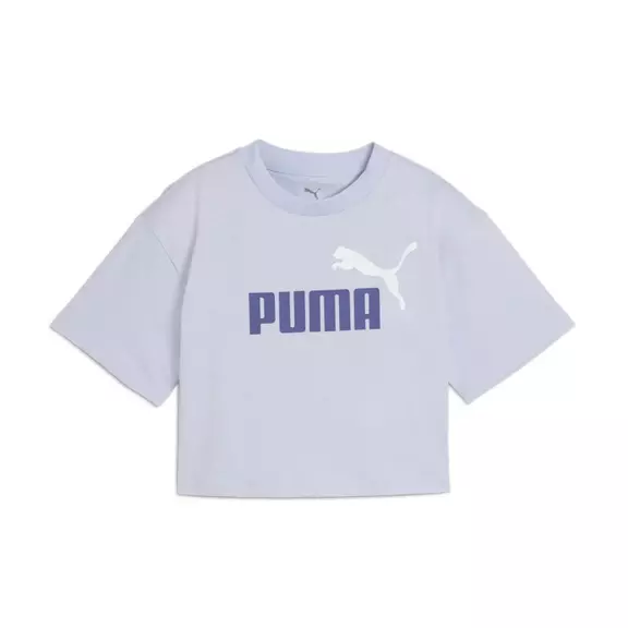 Puma ESS 2 COLOR No. 1 Logo Short Length Tee G"Cool Weather"