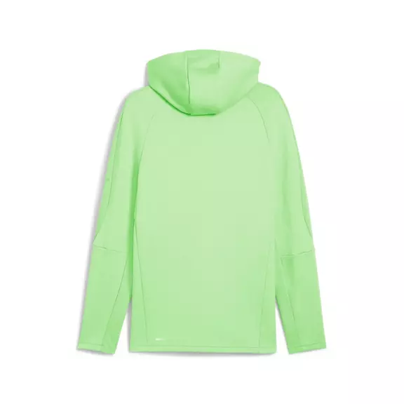 Puma EVOSTRIPE Full-Zip Hoodie DK "Spring Fern"