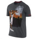 Camiseta Lebron Painting (060/antracita)