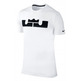 Camiseta LeBron Dri-FIT New Logo (102/blanco/negro)