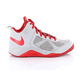 Nike Dual Fusion BB (GS) (008/wolf grey/university red)