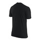 Camiseta Nike LeBron Logo Fibra de Carbon (010/negro)