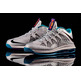 Nike Air Max Lebron X Low "Hornets" (002/gris/azul/purple)