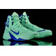 Nike Zoom Hyperfuse 2013 "Pistacho Corbacho" (301/pistacho/azul)