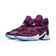 Lebron XIII "Written In The Stars" (500/mulberry/black/purple)