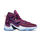 Lebron 13 "Written In The Stars" Kids (500/mulberry/black/purple)