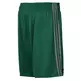 Adidas NBA Shorts Reversible Fan Wear Boston Celtics (verde/gris)