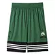 Adidas Basic Short Boston Celtics (verde/negro/blanco)