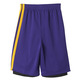 Adidas NBA Short Summer Run Lakers (purpura/amarillo/negro)