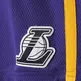 Adidas NBA Short Summer Run Lakers (purpura/amarillo/negro)